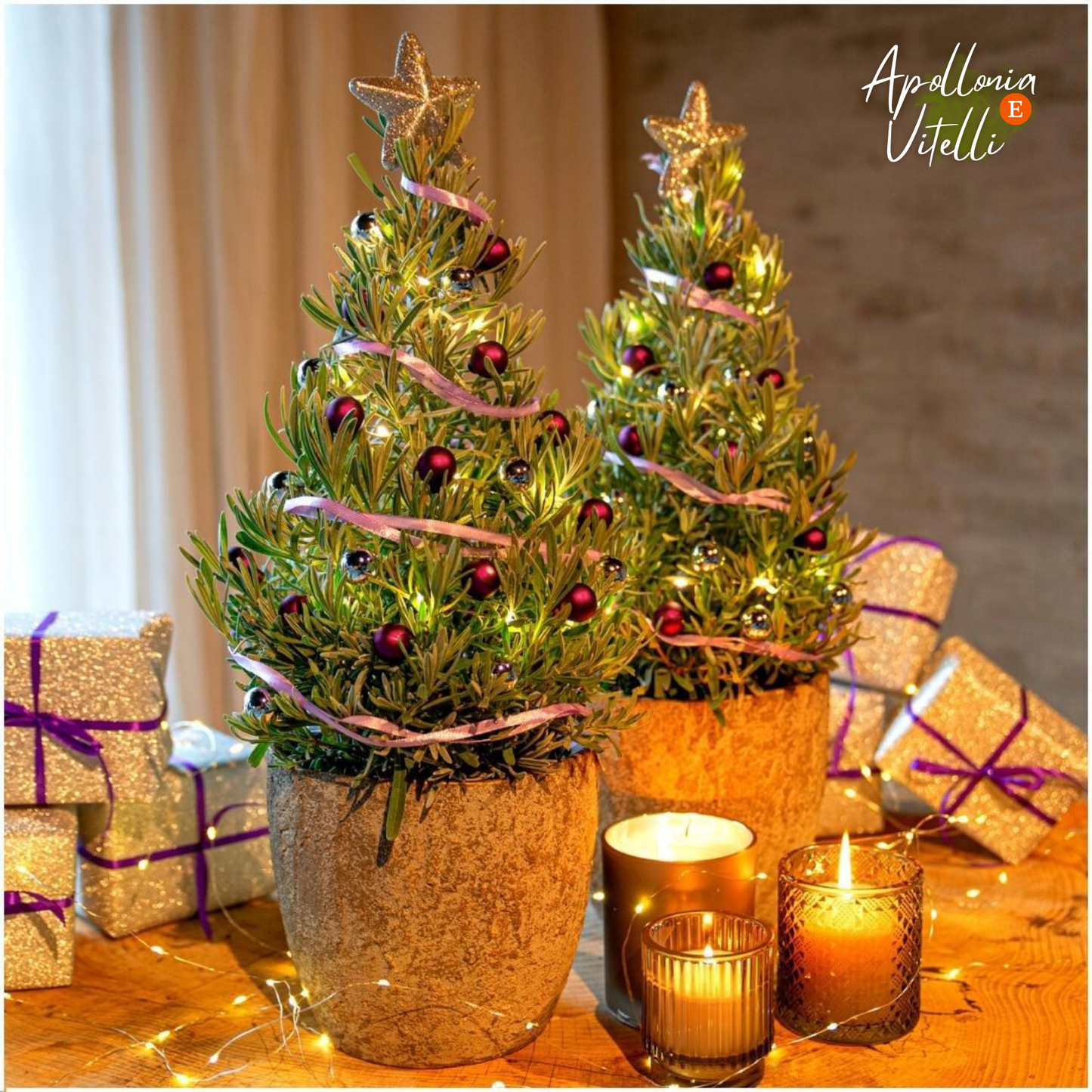 Echte geurende Lavendel Kerstboom - 15 cm Ø - 40-50 cm ↨  - Lavendel