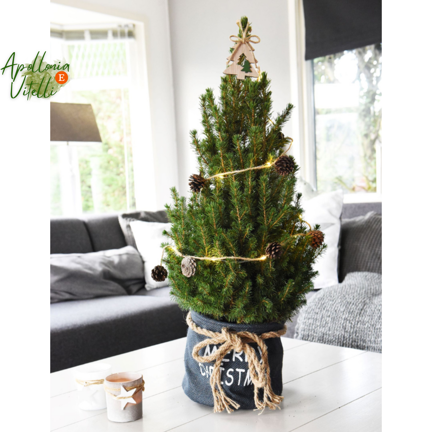 Kleine Kerstboom in Kerstmis sierpot - 70 cm - Picea Glauca Conica - Star lighting including batteries