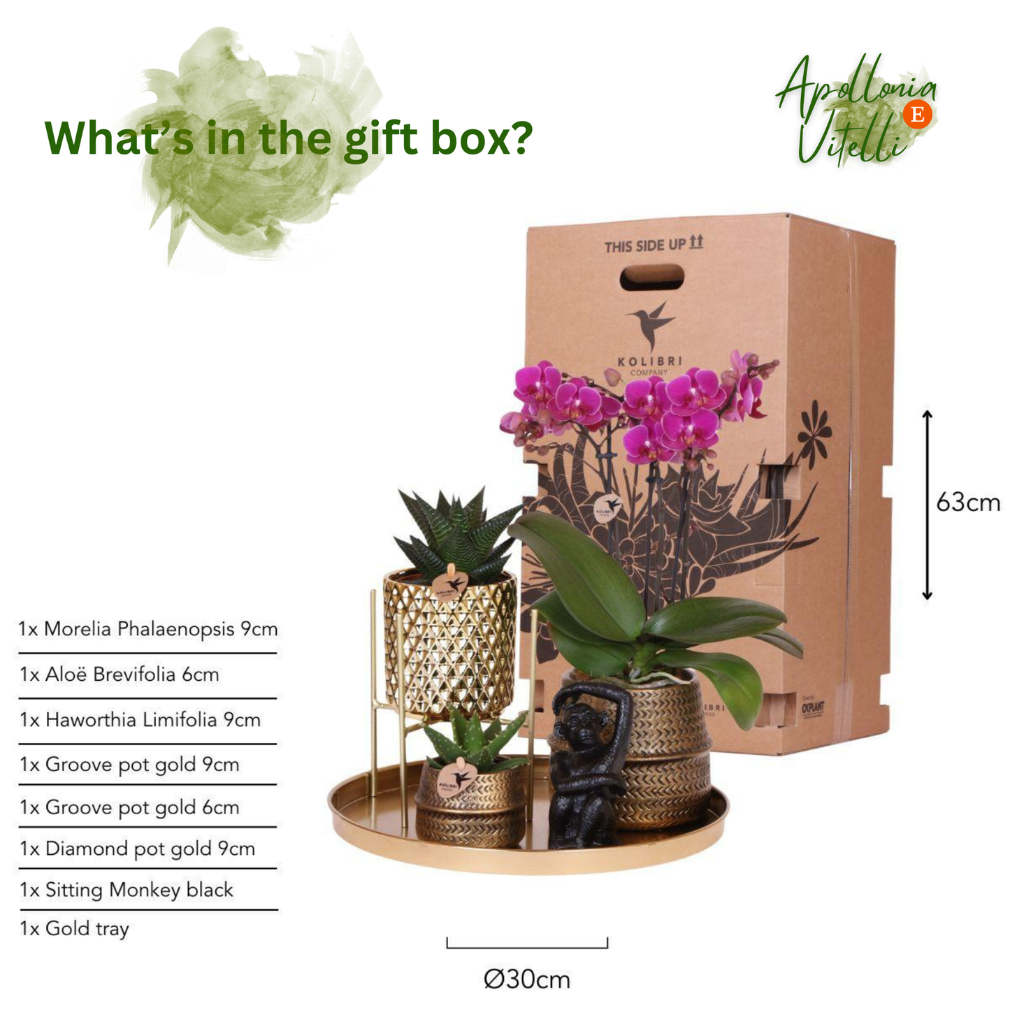 Gift set Hotel Chic| Plantenset met paarse Phalaenopsis Orchidee en Succulenten incl. keramieken sierpotten